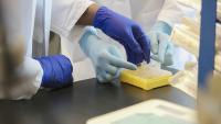 NYC dermatopathologists testing skin samples in laboratory